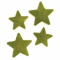 Floristik24 Bodová dekorace hvězdy semišované mechově zelená 4cm/5cm 40p