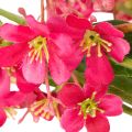 Umělá kvetoucí větvička orchideje Oncidium 112 cm 3 ks | Floristik24.cz