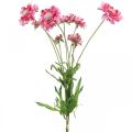 Floristik24 Umělá květinová dekorace, svrab umělá květina růžová 64cm svazek 3ks
