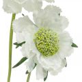 Floristik24 Umělá květina svrabová bílá zahradní květina H64cm svazek se 3ks