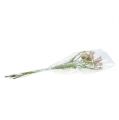 Floristik24 Šachová květina bílo-růžová zasněžená L45cm 6ks