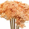 Floristik24 Řebříček umělé umělé květiny oranžová 50cm 5ks v svazku