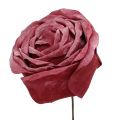 Floristik24 Pěnová směs růže Ø10cm 6ks