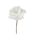 Floristik24 Pěnové růže bílé s perletí Ø2,5cm 120str