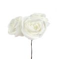Floristik24 Pěnové růže bílé s perletí Ø6cm 24ks