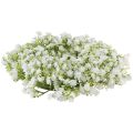 Floristik24 Gypsophila věnec bílý květinový věnec svatební Ø30cm