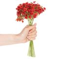 Umělý dětský dech, červený, kytice jako květinová dekorace, 30 cm, 10 kusů | Floristik24.cz