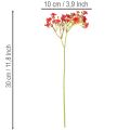 Umělý dětský dech, červený, kytice jako květinová dekorace, 30 cm, 10 kusů | Floristik24.cz