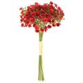 Umělý dětský dech, červený, kytice jako květinová dekorace, 30 cm, 10 kusů | Floristik24.cz
