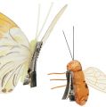 Floristik24 Motýl, včelí deko na klip 4cm - 8cm 9ks