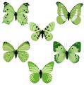 Floristik24 Motýlí zelený na klipu 10cm - 11cm 6ks