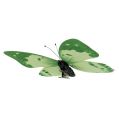 Floristik24 Motýlí zelený na klipu 10cm - 11cm 6ks