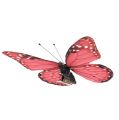 Floristik24 Motýl růžový na klipu 11cm 6ks