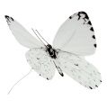 Floristik24 Motýl bílý 20cm na drátě 2ks
