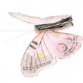 Floristik24 Deco motýlci s klipem, motýlci peří růžoví 4,5-8cm 10ks
