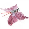 Floristik24 Deco motýlci s klipem, motýlci peří růžoví 4,5–8cm 10ks