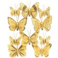 Floristik24 Jarní motýlek s klipem zlatá jarní dekorace 6cm 10ks v sadě