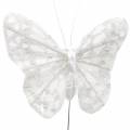 Floristik24 Péřový motýlek s drátem bílý, třpytky 5cm 24ks