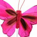 Floristik24 Peříčkový motýlek s drátem 7cm růžová fialová 24ks