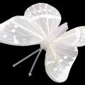 Floristik24 Motýl na klipu bílý 8cm 8ks