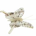 Floristik24 Deco motýlek s kovovou sponou přírodní stříbro rozmanité V4,9cm/5,8cm/7,4cm 6 kusů v sadě