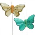 Floristik24 Motýl se třpytkami, deko špunty, pírko motýl jarní žlutá, tyrkysová, zelená 4×6,5cm 24ks