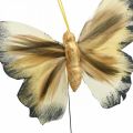 Floristik24 Deco motýl, jarní dekorace, můra na drátě hnědá, žlutá, bílá 6×9cm 12ks