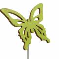 Floristik24 Květinové knoflíky motýlí dřevo 7x5,5cm 12ks různé