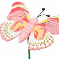 Floristik24 Květinový špunt motýlí dřevo tříděný 7,5cm 16ks