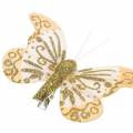 Floristik24 Péřový motýlek na klipu zlaté třpytky 10ks