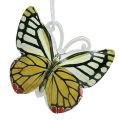 Floristik24 Motýl na zavěšení barevný assort 5,5cm 3ks