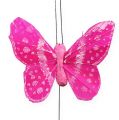 Floristik24 Ozdobní motýlci na drátě 5,5cm 24ks