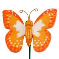 Floristik24 Ozdobná zátka motýl oranžová 6,5cm 24ks