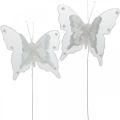 Floristik24 Motýli s perlami a slídou, svatební dekorace, pírko motýlci na bílém drátu