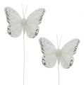 Floristik24 Motýli bílí 8cm se slídou 6ks