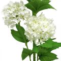 Floristik24 Sněhová koule Větev Umělá rostlina Hedvábný květ Bílá Ø6,5cm L78cm