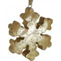Floristik24 Sněhová vločka mangové dřevo přírodní, zlatý sněhový krystal Ø10cm 6ks