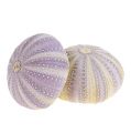 Floristik24 Mořský ježek bílo-fialový 20ks