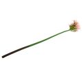 Floristik24 Hedvábný květ agapanthus růžový 80cm