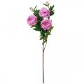 Floristik24 Hedvábný květ pivoňka umělá růžová fialová 135cm