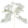 Floristik24 Umělá větvička Senecio, stříbrný list, propracovaná výroba, 45 cm, 3 kusy