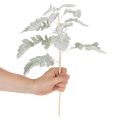 Umělá větvička Senecio, stříbrný list, propracovaná výroba, 45 cm, 3 kusy | Floristik24.cz