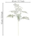 Umělá větvička Senecio, stříbrný list, propracovaná výroba, 45 cm, 3 kusy | Floristik24.cz