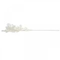 Floristik24 Ozdobná větev stříbrný list bílá Lunaria větev umělá větev 70cm