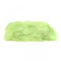 Floristik24 Sisal May zelená dekorace přírodní vlákno sisalové vlákno 300g