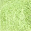 Floristik24 Sisal May zelená dekorace přírodní vlákno sisalové vlákno 300g