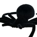 Floristik24 Pavouk černý 16cm vločkovaný