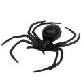 Floristik24 Pavouk černý 16cm se slídou
