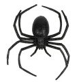 Floristik24 Pavouk černý 16cm se slídou