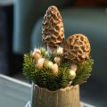 Umělý dekorativní kůl smrž do květináčů a na stůl, 13 cm, 2 kusy | Floristik24.cz